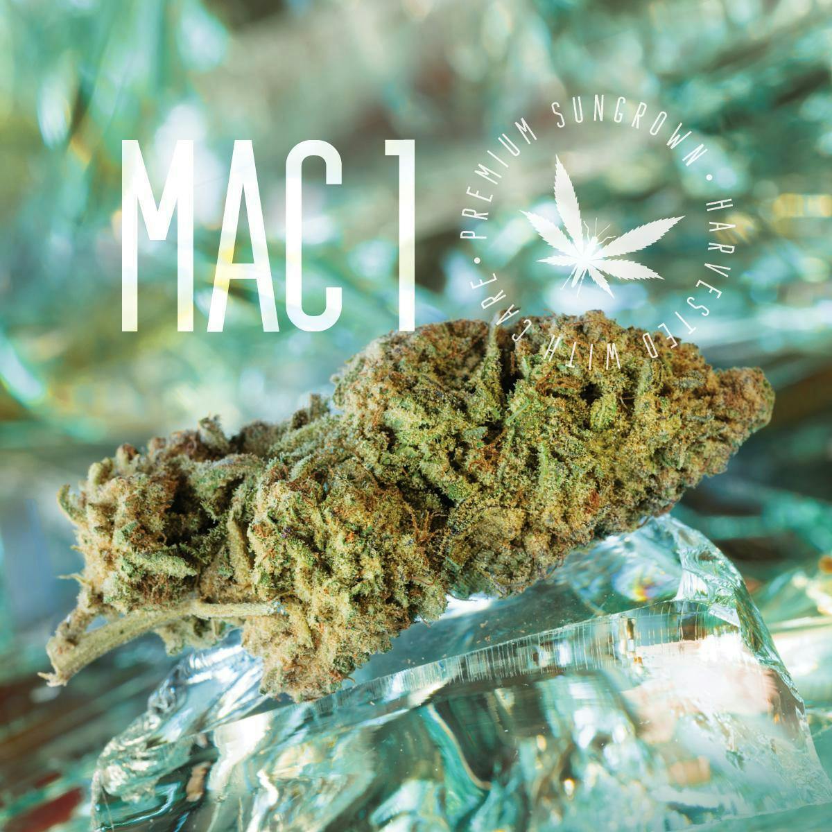 Grasshopper Farms | Mac 1 at PUFF Cannabis - Kalamazoo