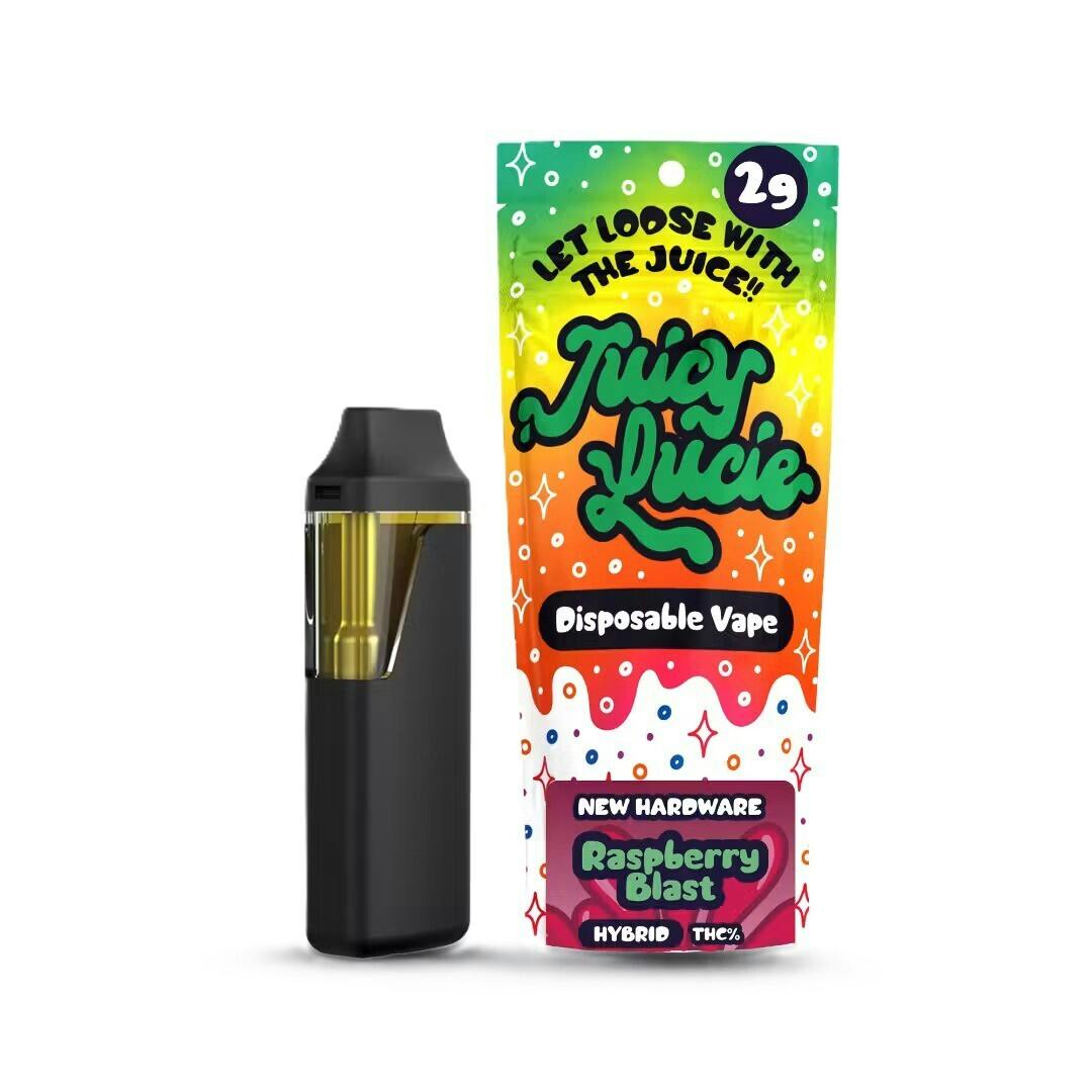 Raspberry Blast | Disposable | 2g