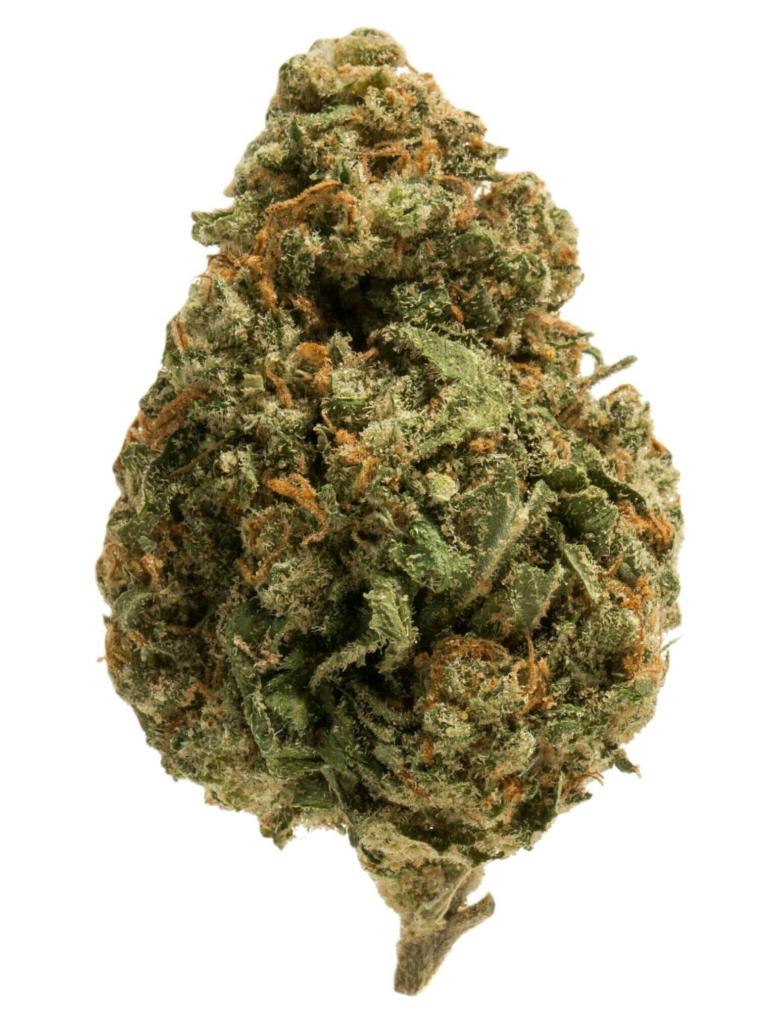 8th - Bananaconda - (Indica Hybrid) - 26.92%THC - (+/-10%) - Amsterdam - 10411