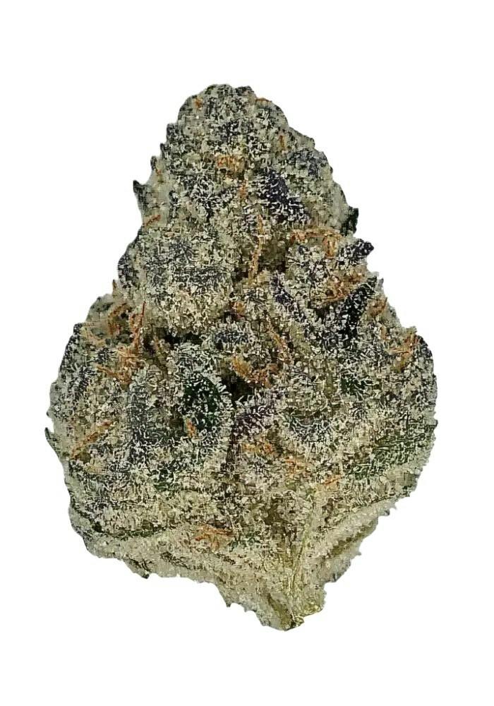 8th - Private Banana - (Indica Hybrid) - 28.23%THC - (+/-10%) - Amsterdam - 10418