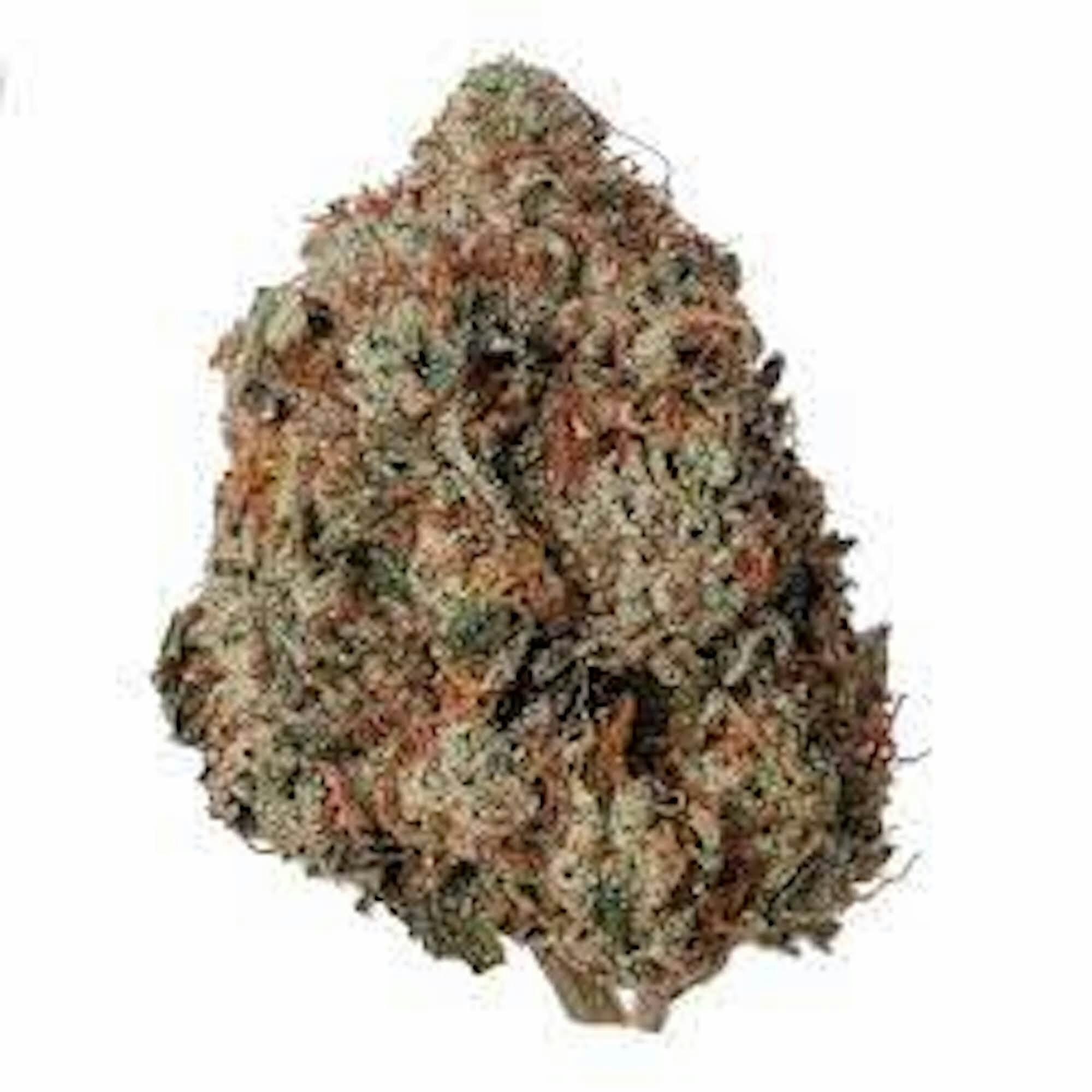 OZ - Motor Breath - Smalls - (Indica Hybrid) - 29.7%THC (+/-10%) - One Garden - 10430