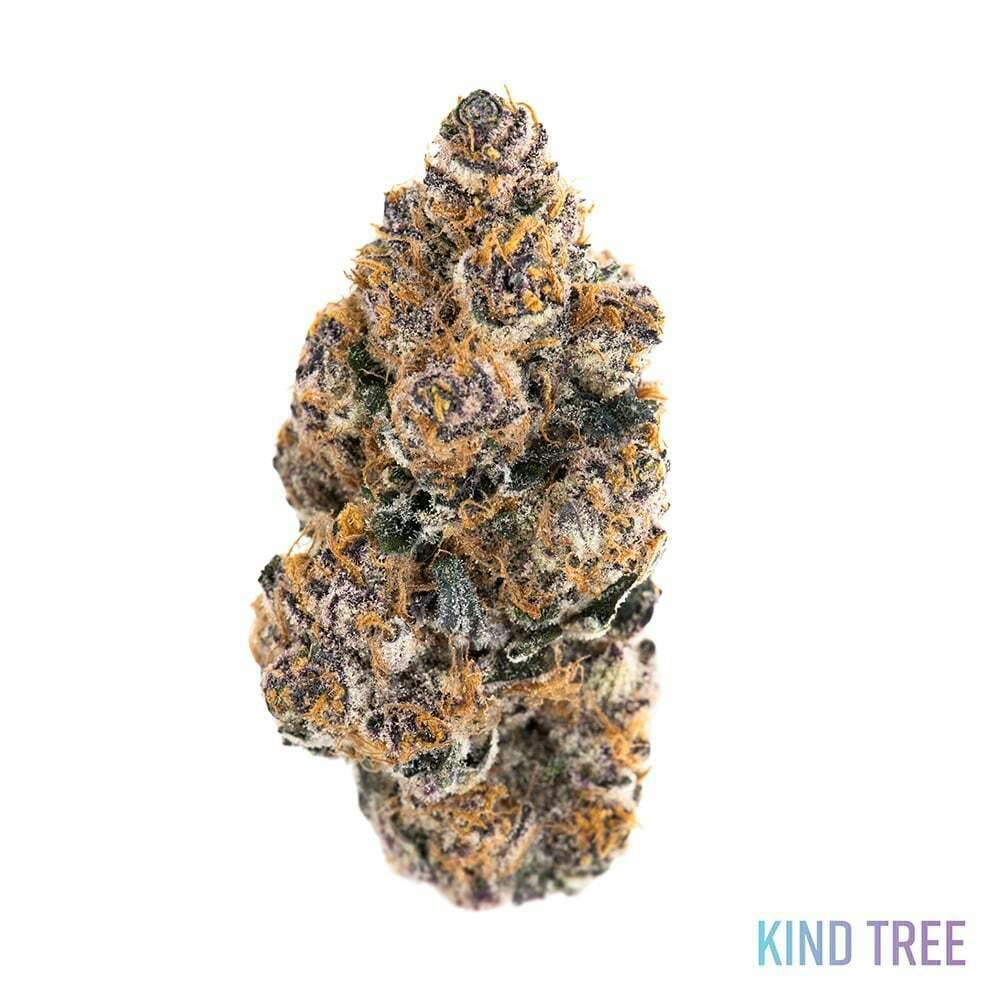 Kind Tree White Iverson 14g Flower
