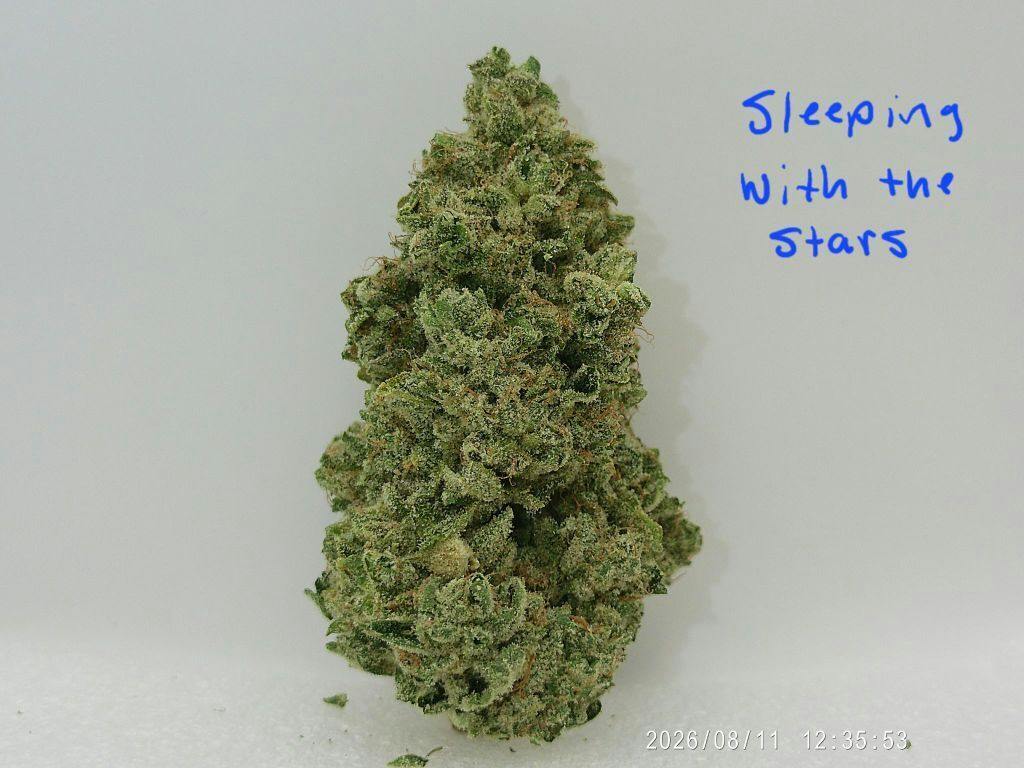 FarmaceuticalRx Sleeping with the Stars #9 3.5g Flower