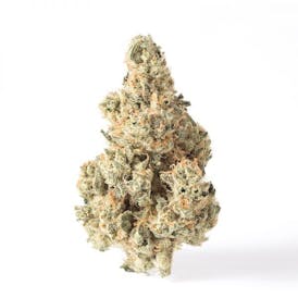 GLP | Miss X | 3.5g *NOT REDEEMABLE*