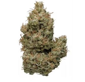 GLP | Sunshine Daydream | 3.5g [NOT REDEEMABLE]