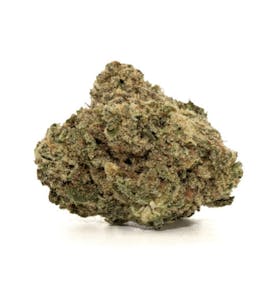 Stiiizy | Crazy Glue