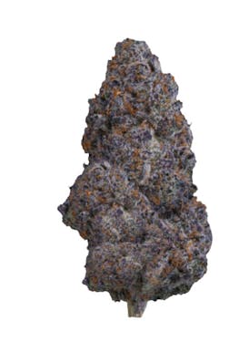 Stiiizy | Lemon Cherry Gelato