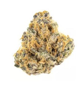 Medizin | Dark Rainbow