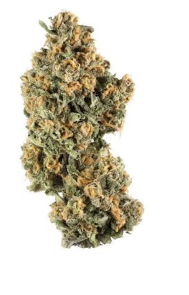 Stiiizy | Pink Champagne