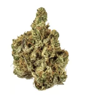 AMA | Garlic Sundae