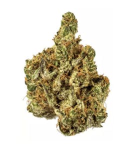 AMA | Garlic Sundae
