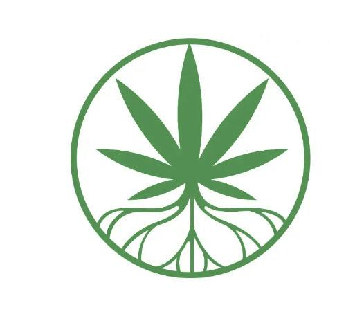 Treehouse NV | Midnight Delight