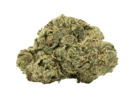 Stiiizy | Sunset Sherbert