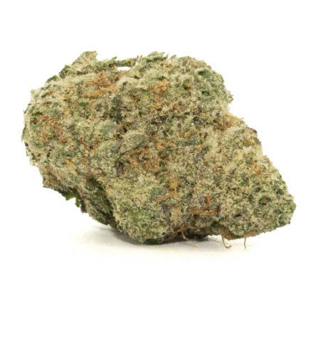 Stiiizy | White Zerbert