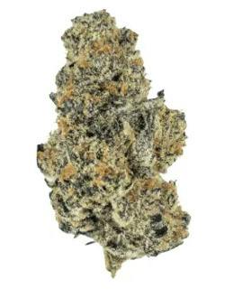 Treehouse NV | Sub Zero