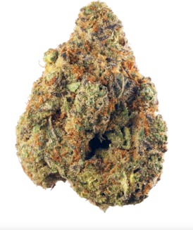 Sugar Black Rose