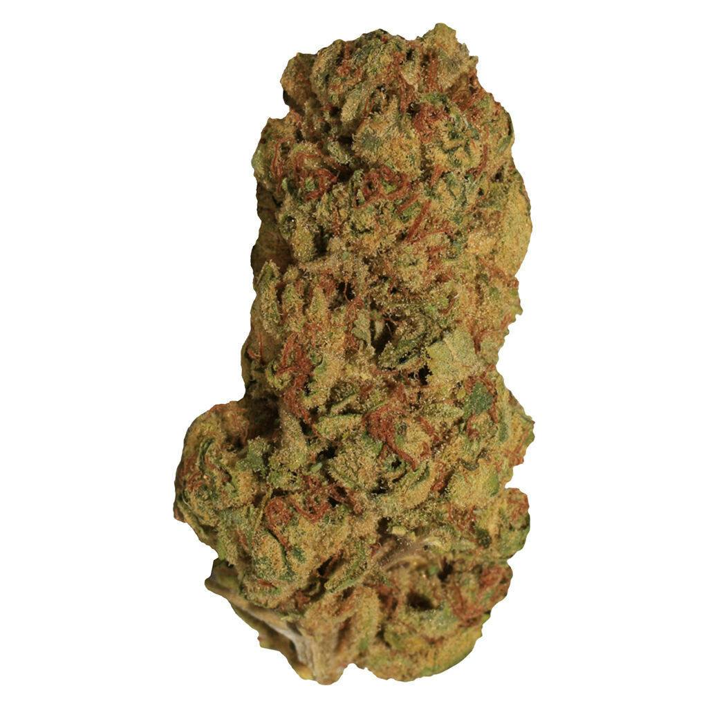 Choice Growers - Duke Nukem - Sativa - 7g
