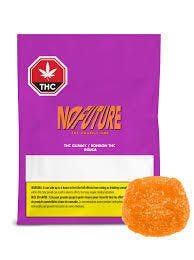THE ORANGE ONE INDICA THC GUMMY 1 PACK [INDICA]