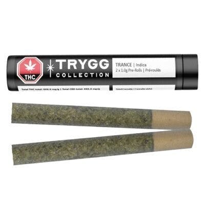 Trance Pre-Rolls - 2G