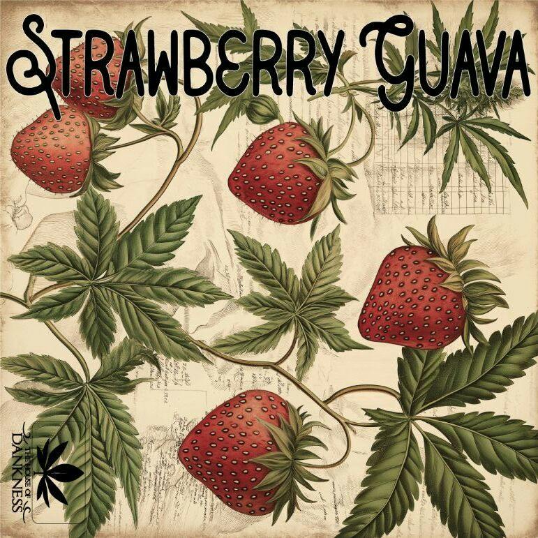 House of Dankness Strawberry Guava Blunt 2.5g