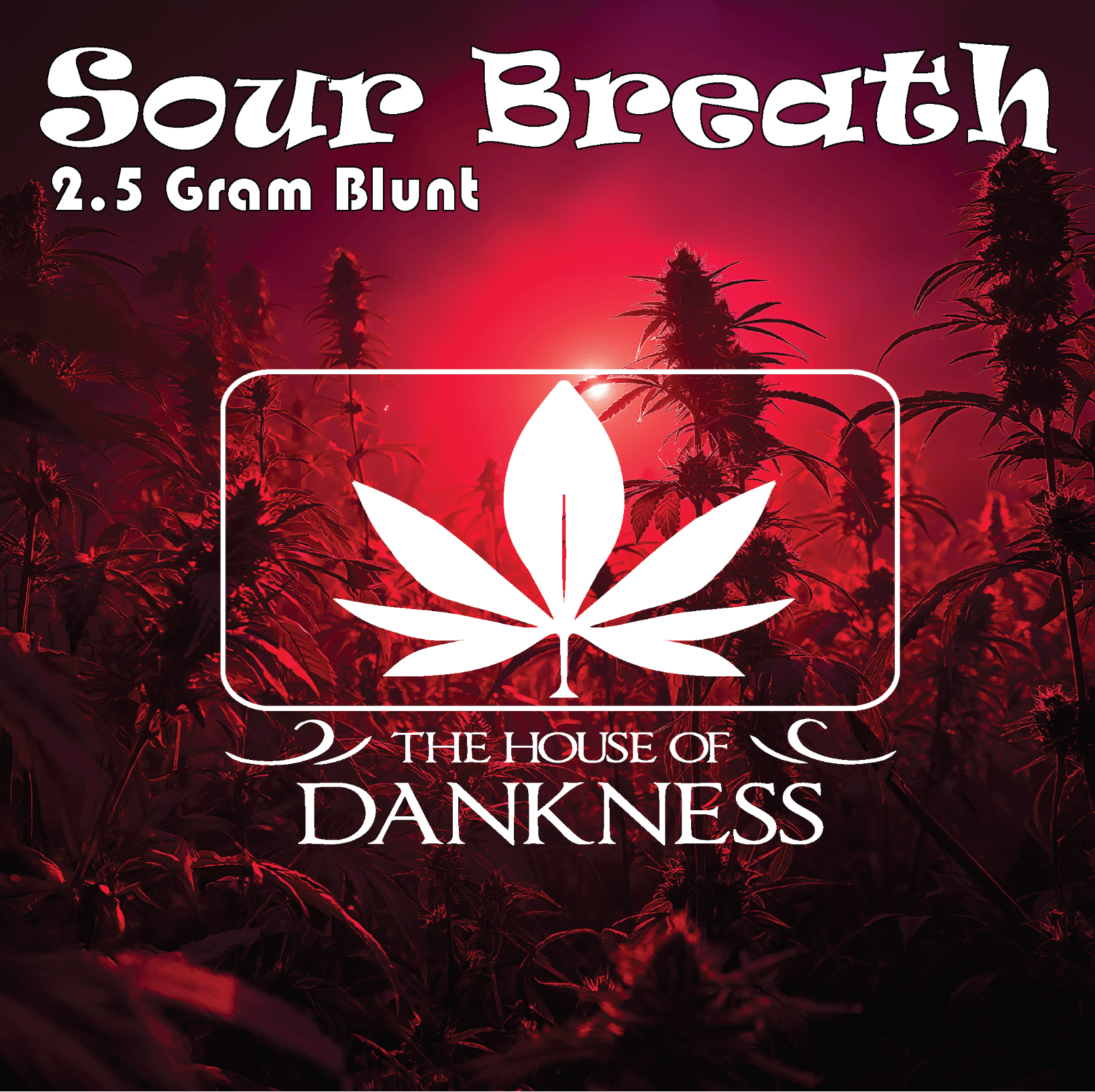 House of Dankness Sour Breath Blunt 2.5g