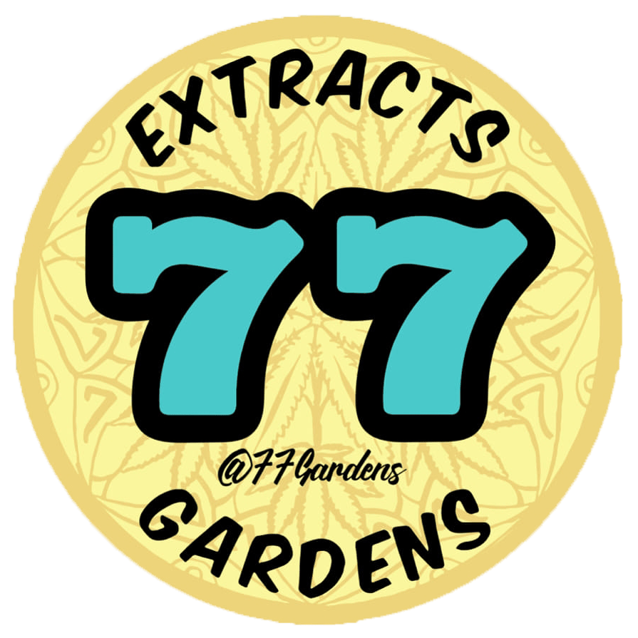 77 Extracts White Water 1g at Nova Cannabis Company