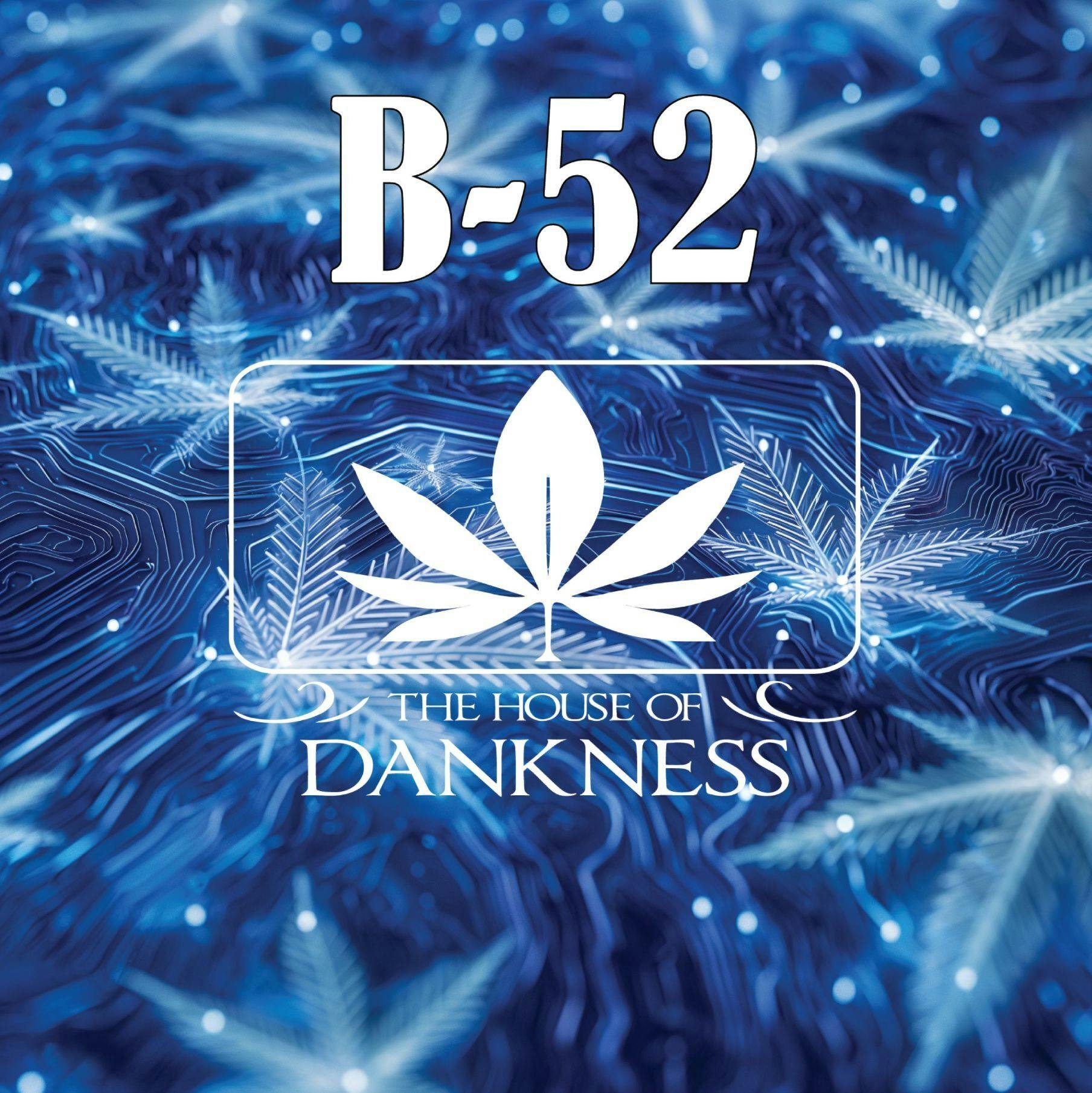 House of Dankness B52 Preroll