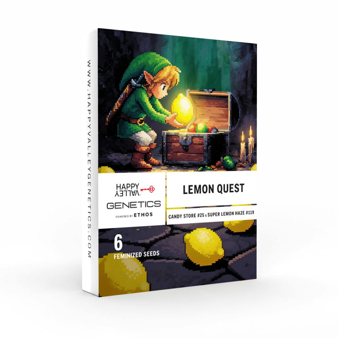 HVG: Seed Pack - Photoperiod (3-Pack) - Lemon Quest at Happy Valley - East Boston Medical Marijuana and Recreational Dispensary