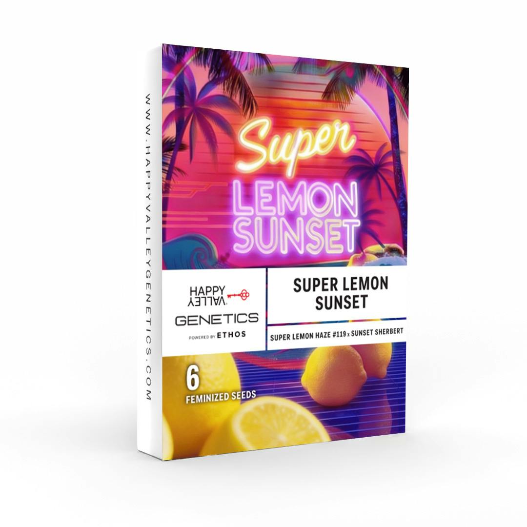 HVG: Seed Pack - Photoperiod (6-Pack) - Super Lemon Sunset at Happy Valley - East Boston Medical Marijuana and Recreational Dispensary