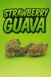 Strawberry Guava -