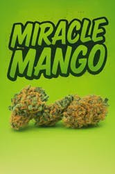 Tier 1 - Mircle Mango -