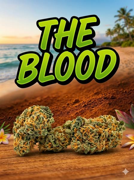 Tier 3 - The Blood -