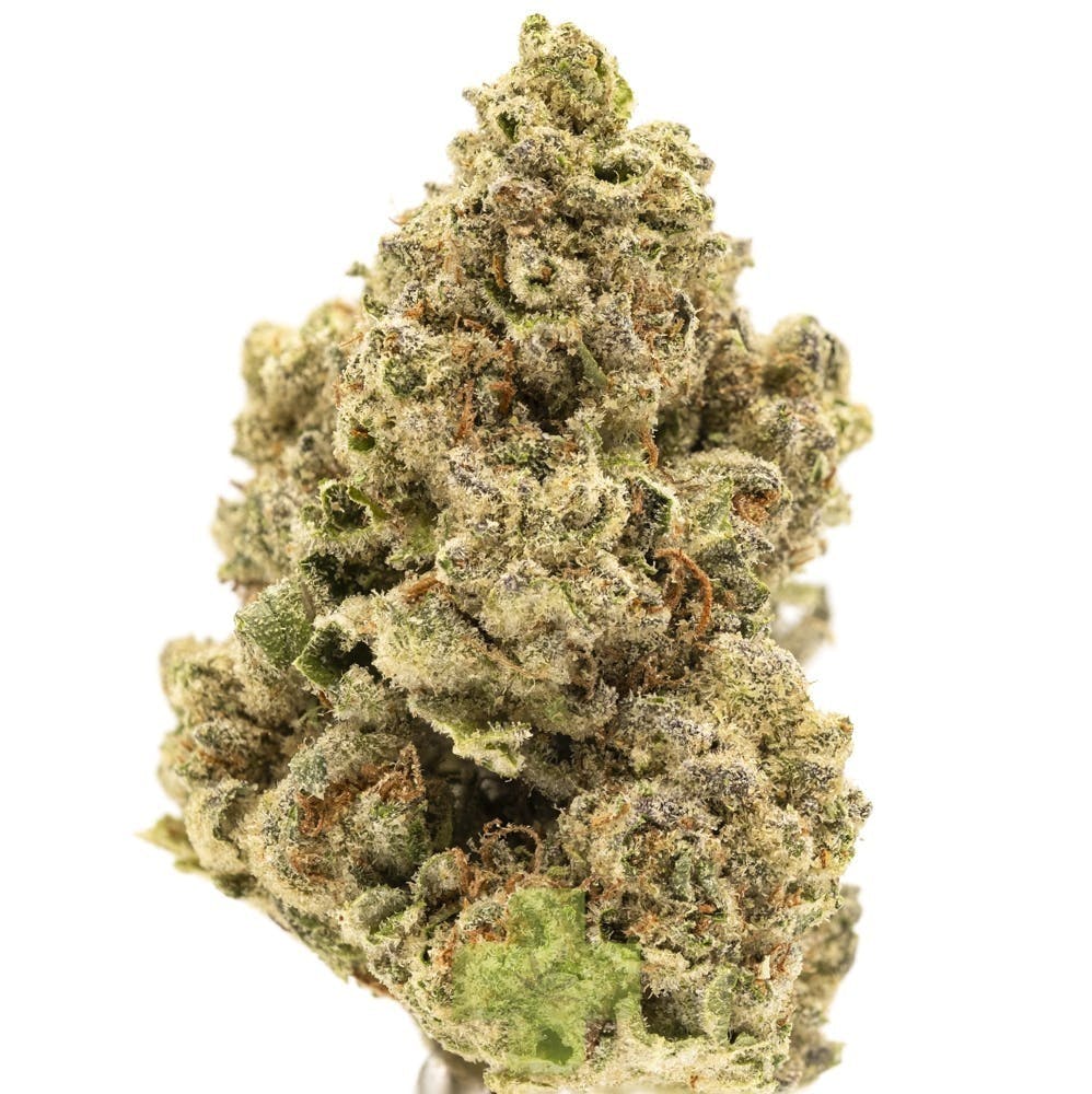 Rimrock Farms: Banana Cooler, Sg - One
