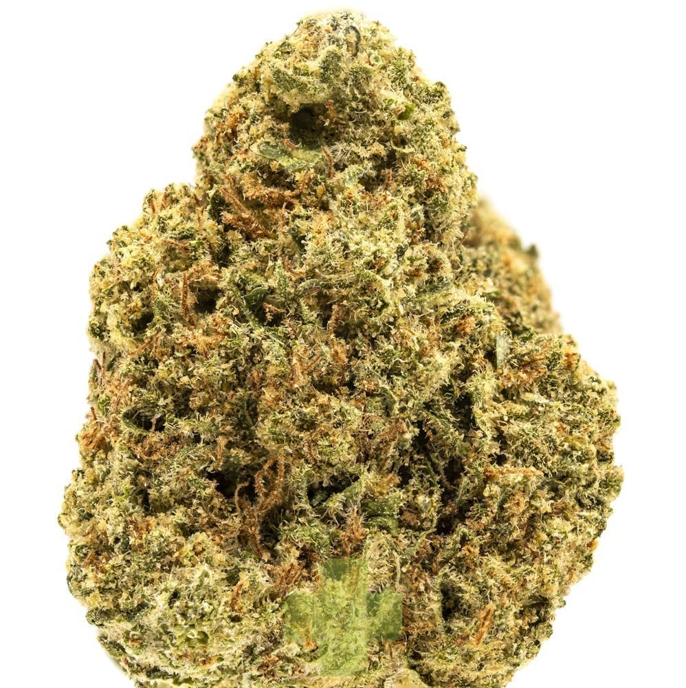 Rimrock Farms: Mimosa, Sg