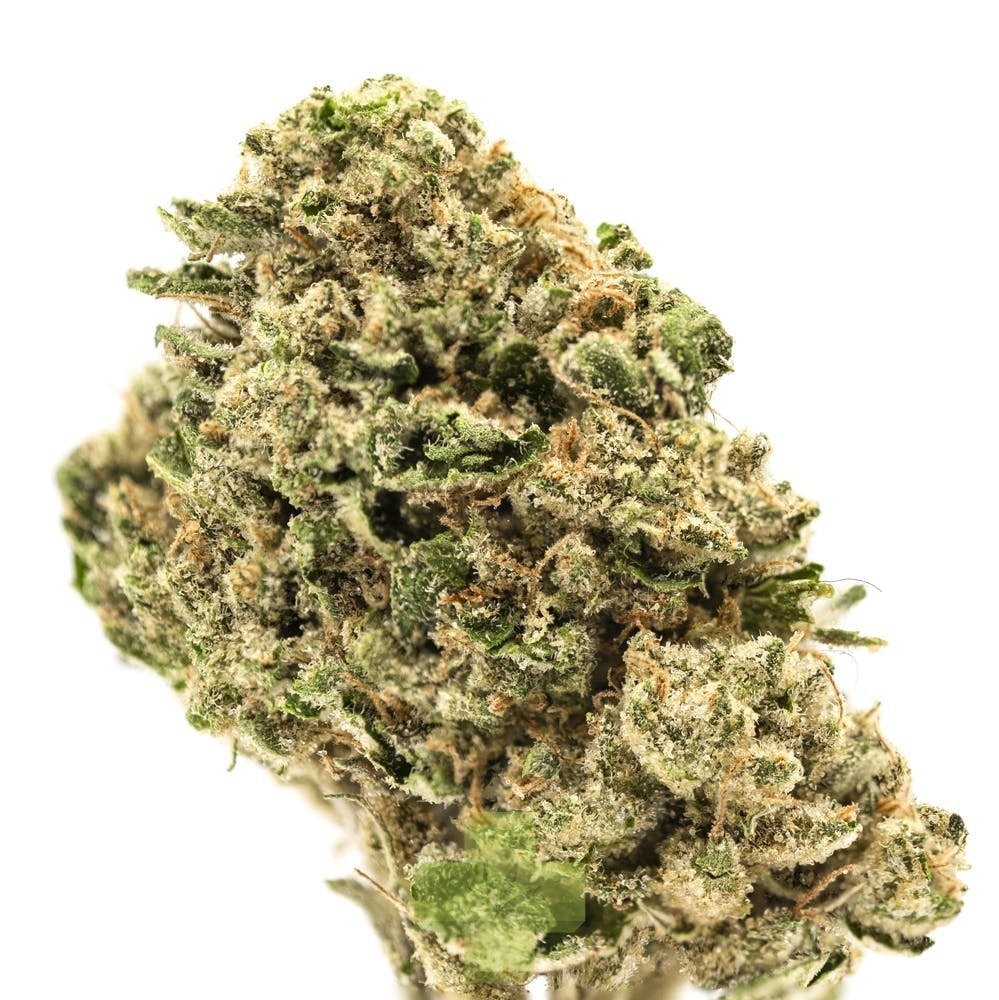 Rimrock Farms: Animal Face Sherbet, Sg - One