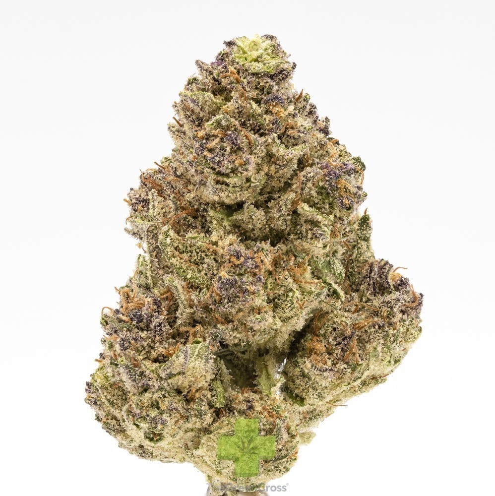 Rimrock Farms: Blue Tara, Sg