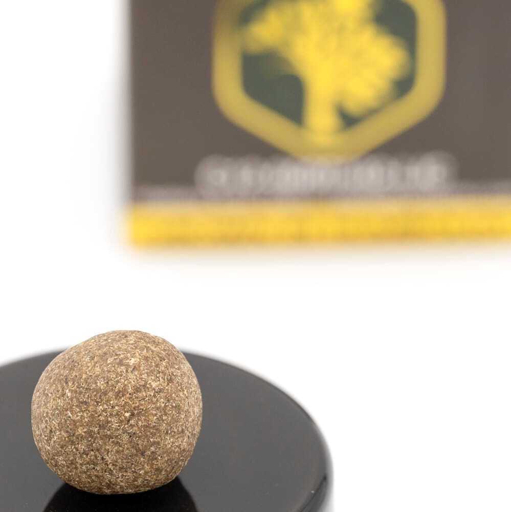 Talking Trees Farms: Motor Beltz Temple Ball