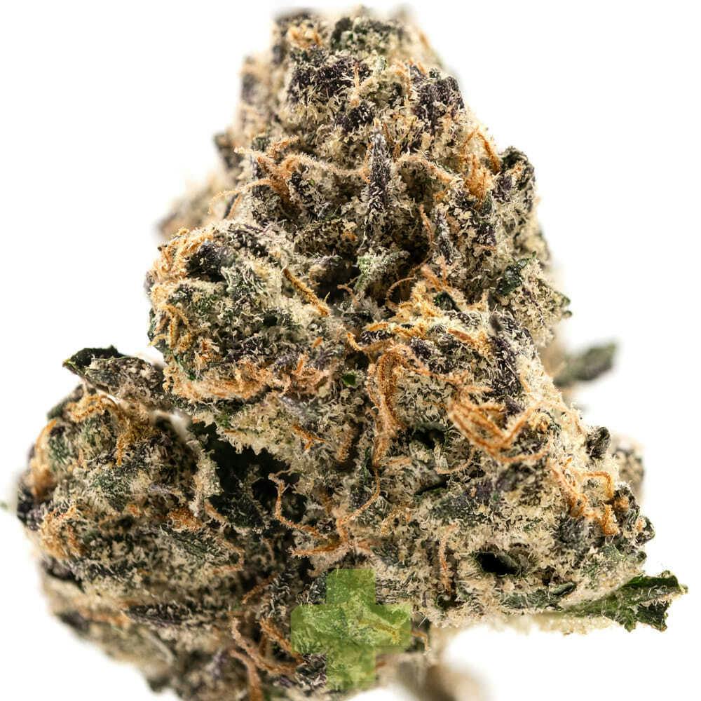 Stiiizy - Pink Cadillac: Pink Cadillac, GH - Eighth