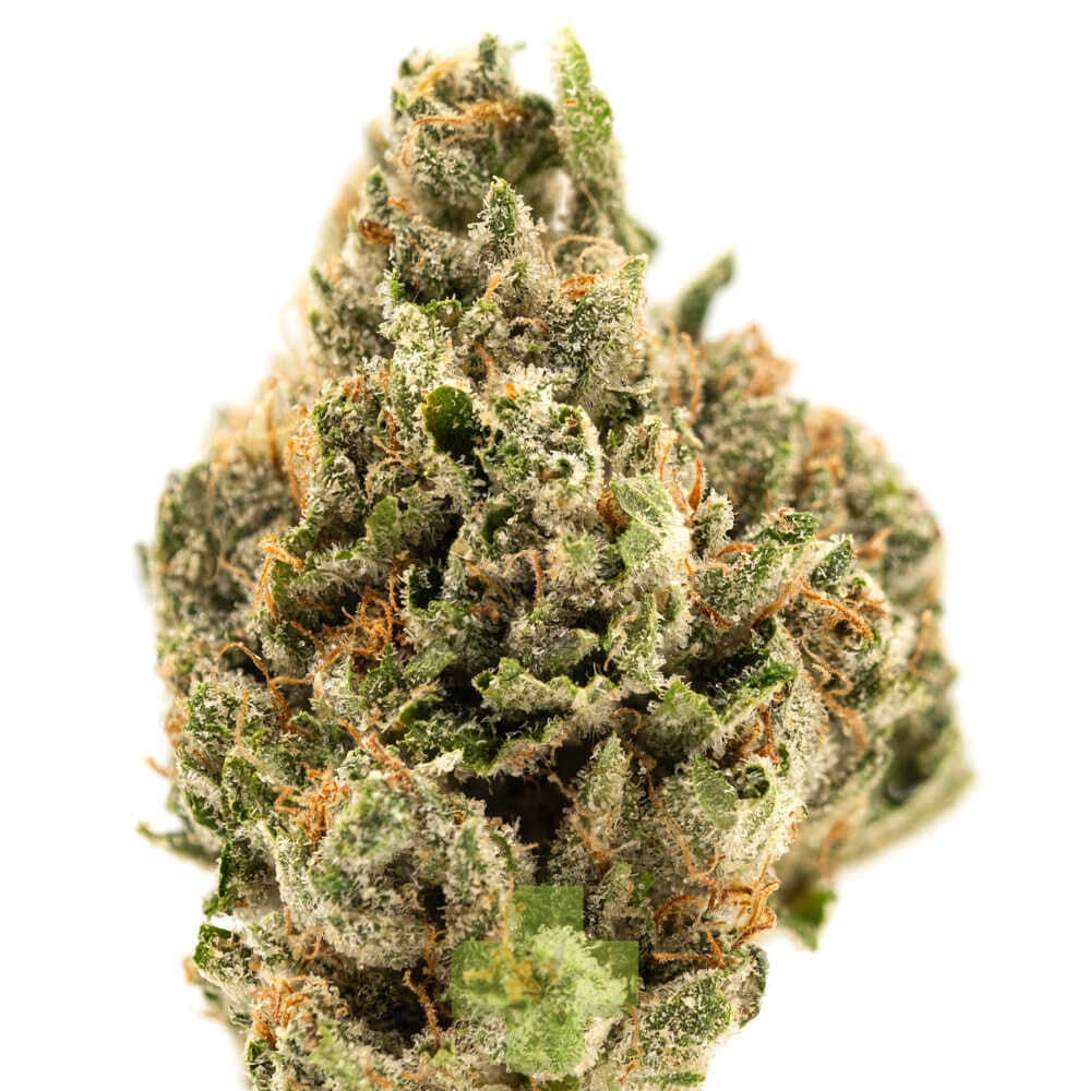 True Classic: True OG