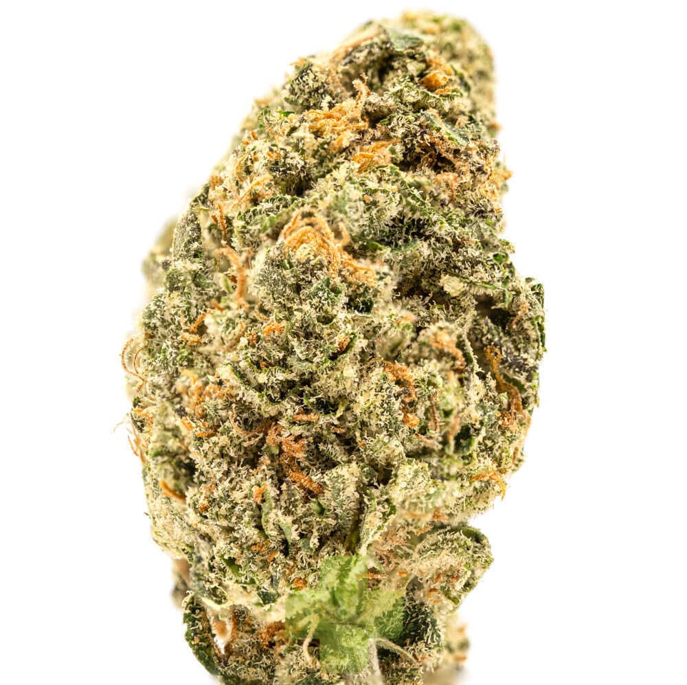 Humo - Baja Gold: Baja Gold, GH - Eighth