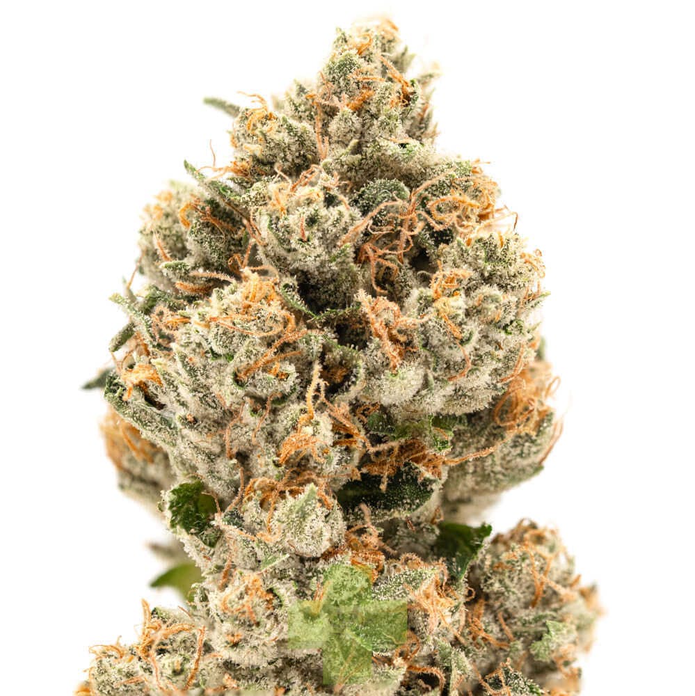 Northern Emeralds: Emerald OG