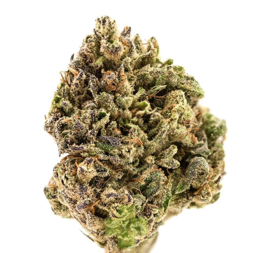 Stone Road - Sweet Mango Haze, SG - Eighth