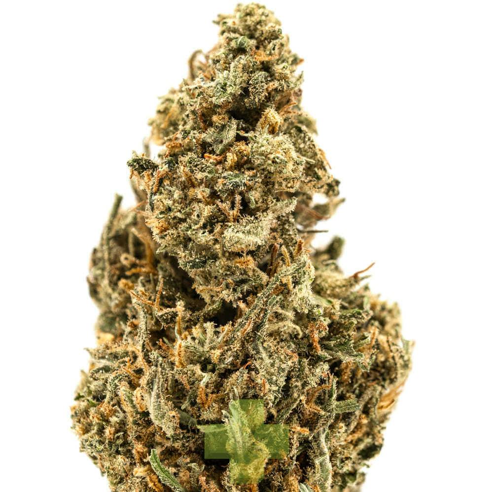 Soma Rosa - Lemon Pie, SG (1/2oz) - Half Oz.