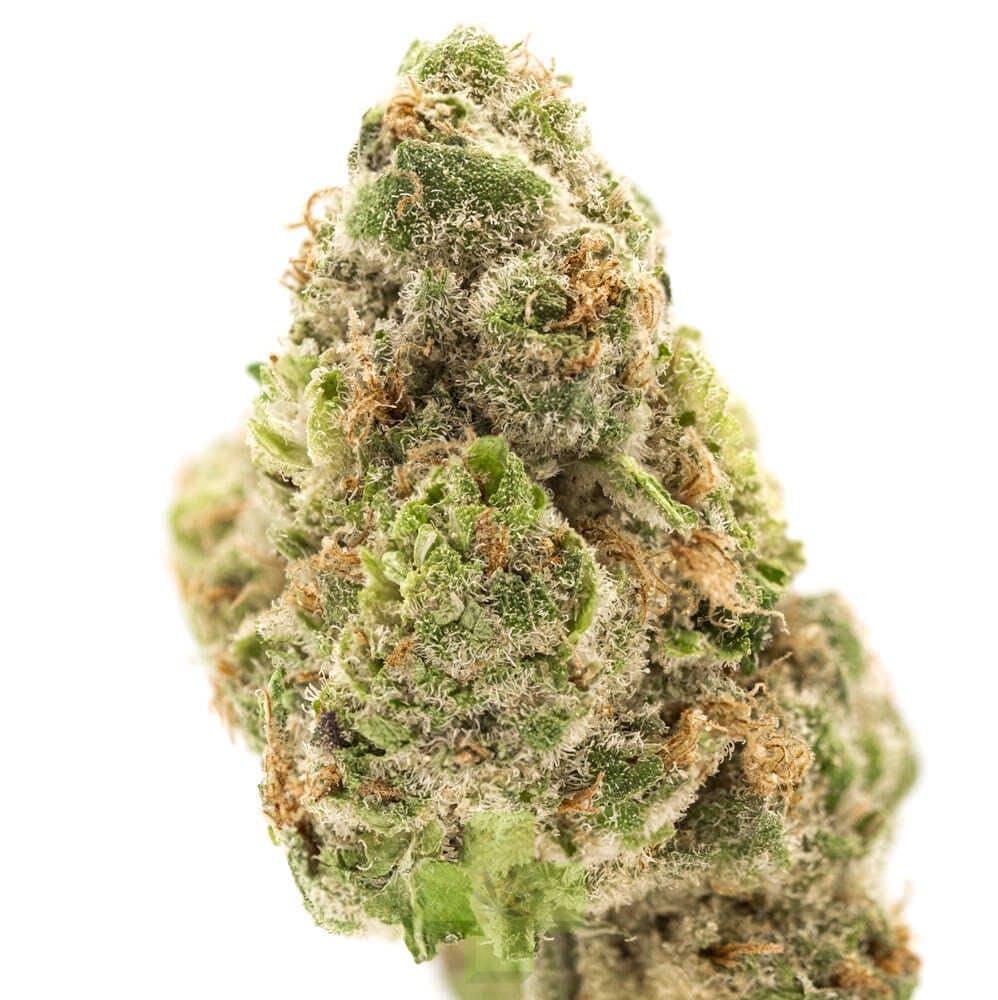 NUG: Apple Gas