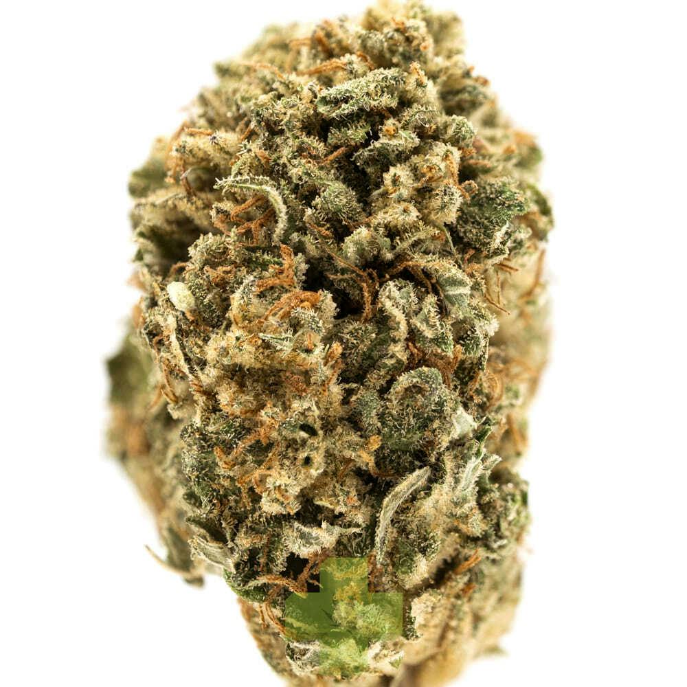 Most Wanted: Banachee X Mandarin Tart X Slury3