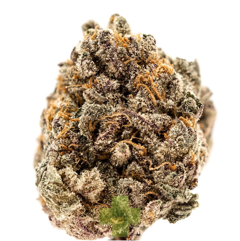 Humo - Neverita: Neverita, GH - Eighth