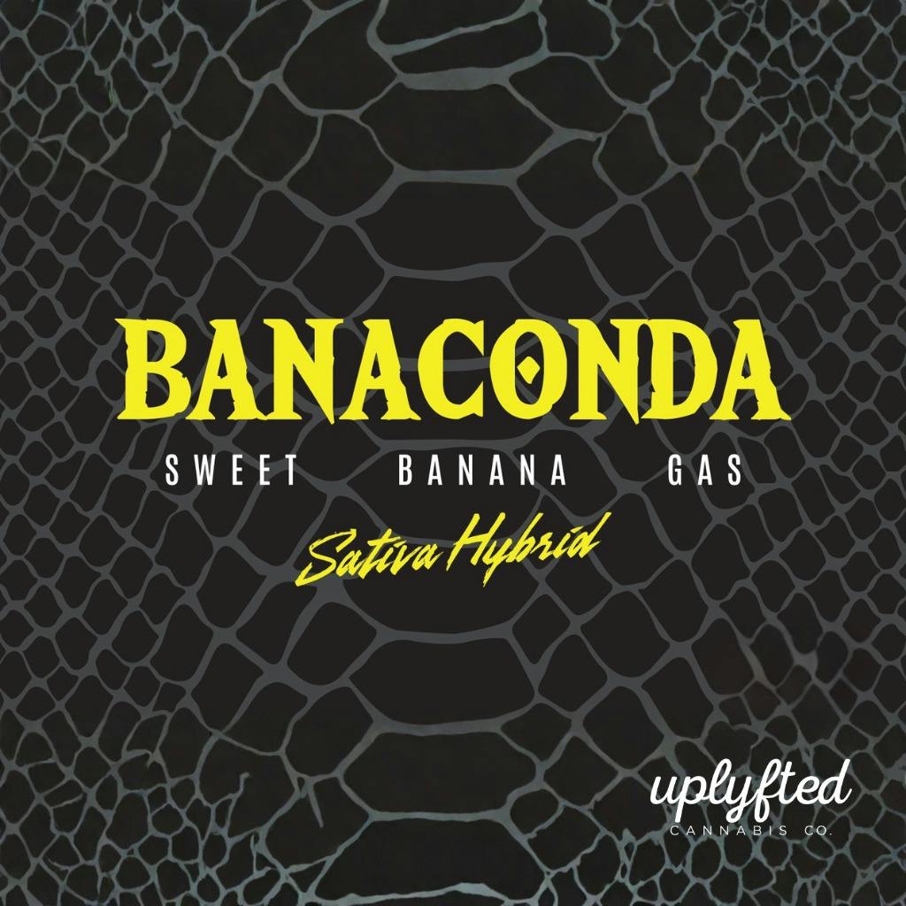 Uplyfted Banaconda