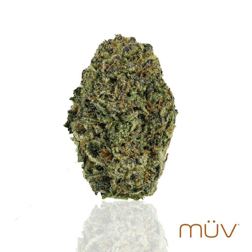 M V Blueberry Muffins