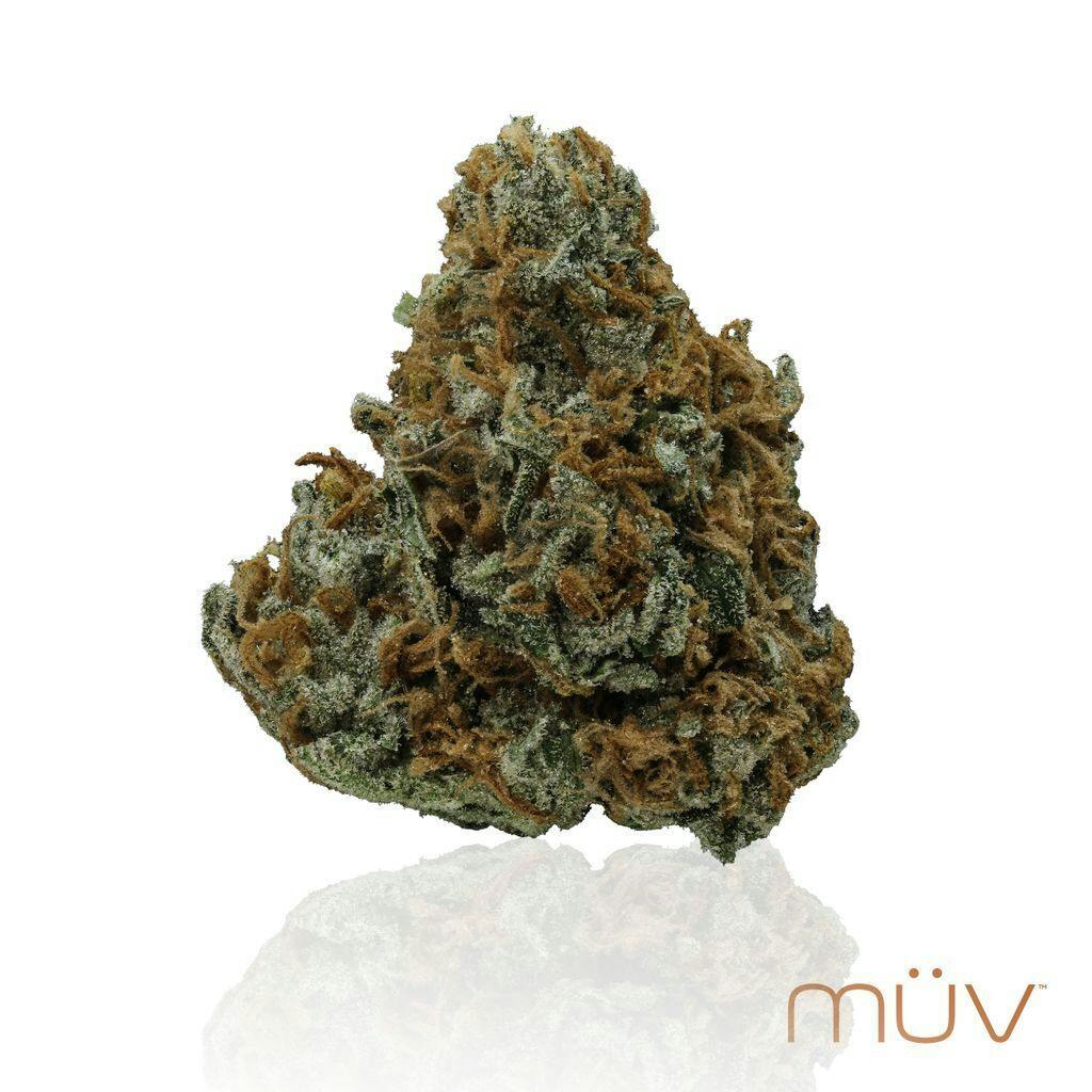 M V Casey Jones