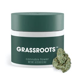 Grassroots - Grandmas House Hybrid Flower By Dark Heart - 3.5g